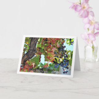 Red Grape Vine Card