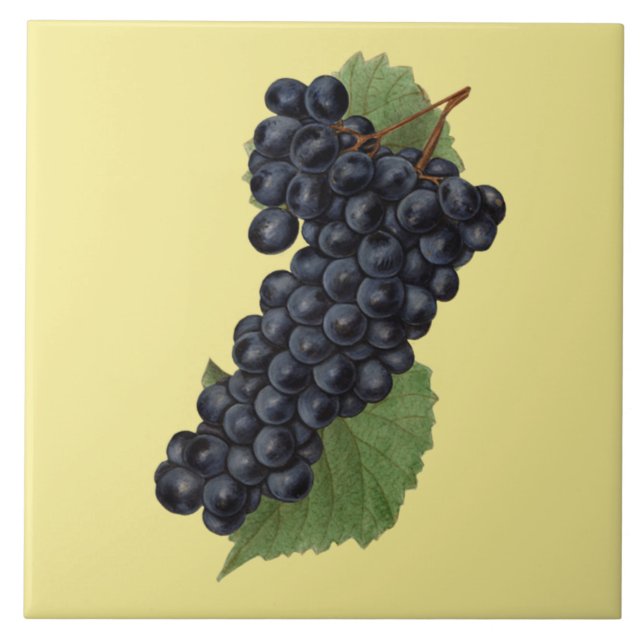 Red Grapes Botanical ~Kitchen~Any Colour Tile (Front)