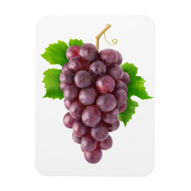 Red grapes magnet (Vertical)