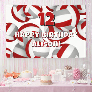 red gray volleyballs kids birthday party banner