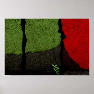 Red & Green Abstract Photograph Cool Unique Poster