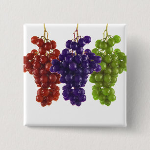 Red Green and Purple Grapes 15 Cm Square Badge