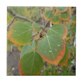 red green aspen leaf tile