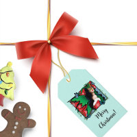 Red Green Christmas Solstice Fairy