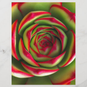 Red green spiral flower