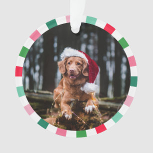 Red Green Starburst Stripes Dog Christmas Ornament
