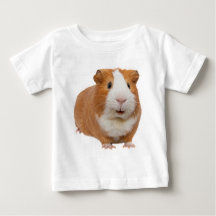 red guinea pig