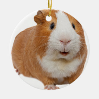 red guinea pig ceramic tree decoration