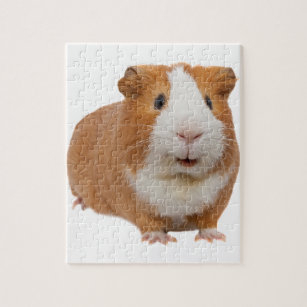 red guinea pig jigsaw puzzle