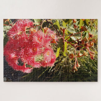 Red Gum in the Sun Adult Jigsaw Puzzle