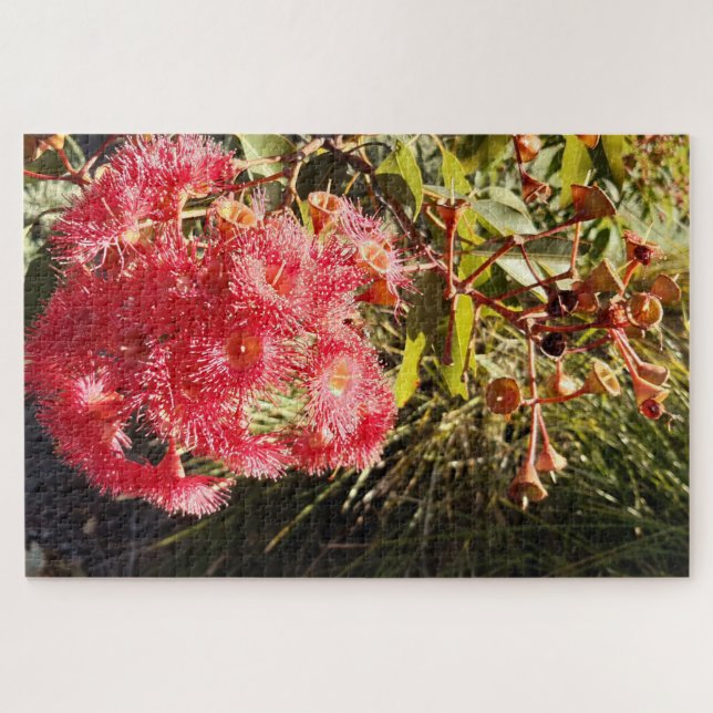Red Gum in the Sun Adult Jigsaw Puzzle (Horizontal)