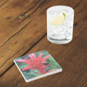 Red Guzmania Bromeliad Floral Stone Coaster