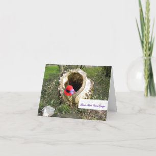 Red Hat Greetings Notecard