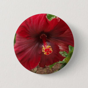 red hawaii hibiscus plant 6 cm round badge