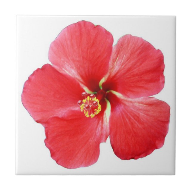Red Hawaiian Hibiscus Flower Tile (Front)