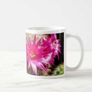 Red Headed Irishman Cactus, Customisable! Coffee Mug
