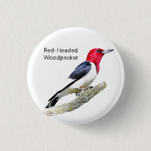 Red-Headed Woodpecker 3 Cm Round Badge