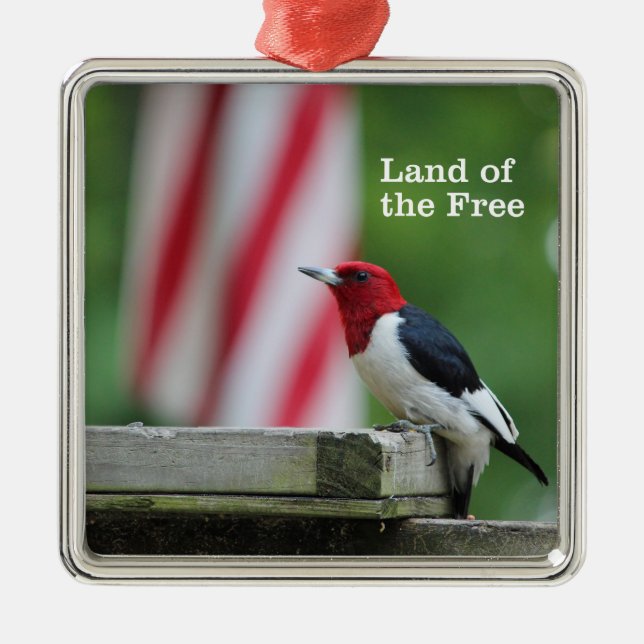 Red-headed Woodpecker Metal Tree Decoration (Front)