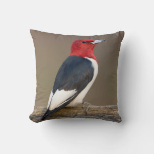 Red-headed Woodpecker on fence Cushion