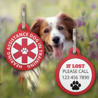 Red Hearing Assistance Dog In Training