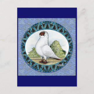 Red Helmet Pigeon Design Postcard