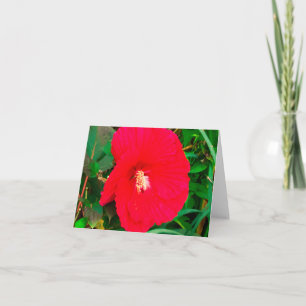 Red Hibicus Note card
