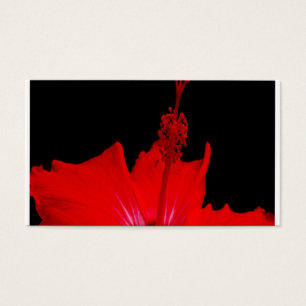 Red Hibiscus
