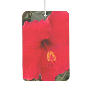 Red Hibiscus Air Frehener Car Air Freshener