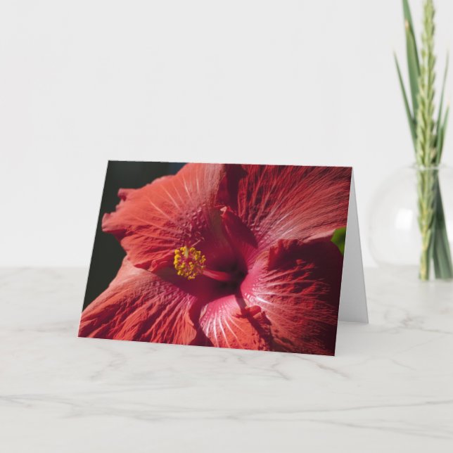 Red Hibiscus Card (Front)