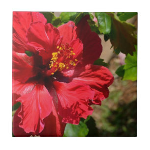 Red Hibiscus Ceramic Tile