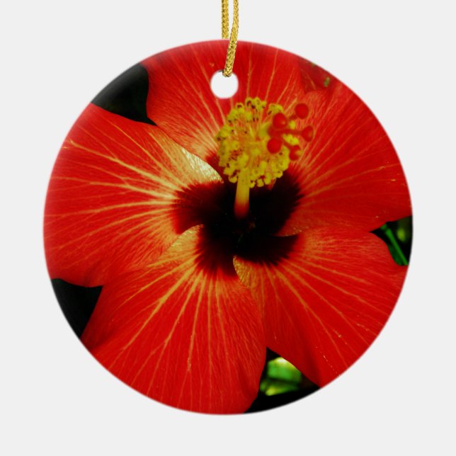 Red Hibiscus Ceramic Tree Decoration (Front)