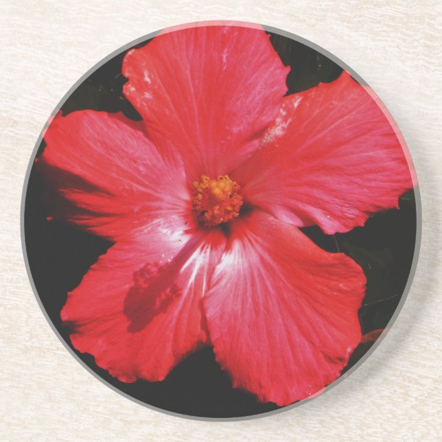 Red Hibiscus Coaster (Front)