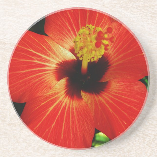 Red Hibiscus Coaster (Front)