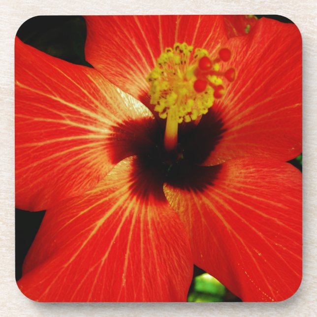 Red Hibiscus Coaster (Front)