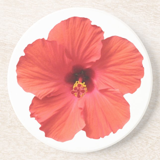 Red Hibiscus coasters (Front)