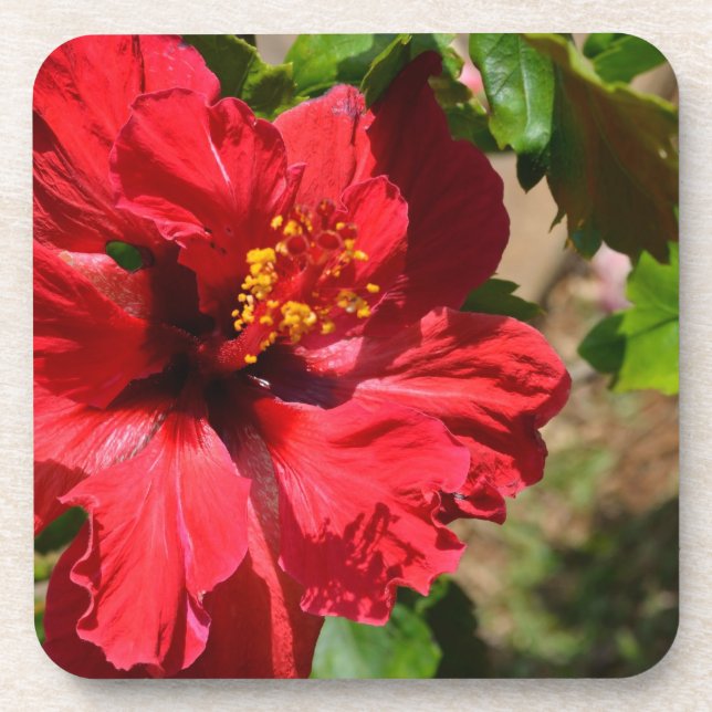 Red Hibiscus Cork Coaster (Front)