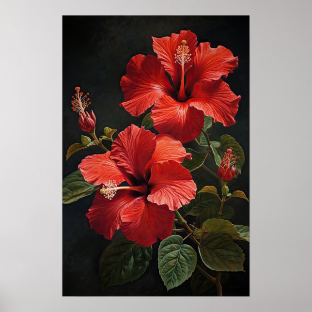Red Hibiscus Flower Art Print Poster (Front)