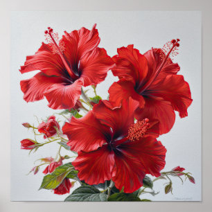 Red Hibiscus Flower Art Print Poster