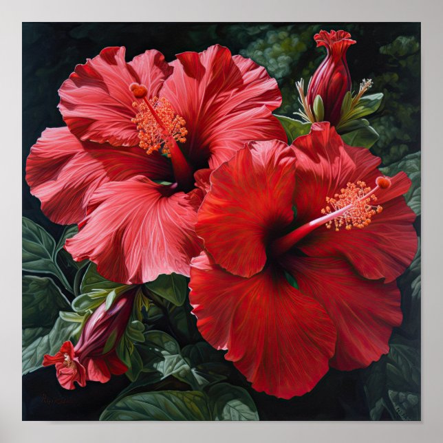 Red Hibiscus Flower Art Print Poster (Front)