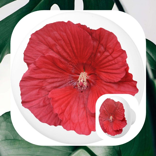Red Hibiscus Flower Botanical Floral Photographic Ceramic Knob (Creator Uploaded)