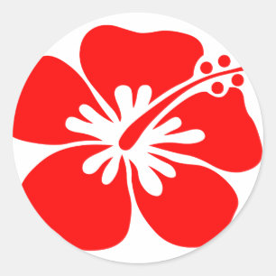 Red hibiscus flower classic round sticker