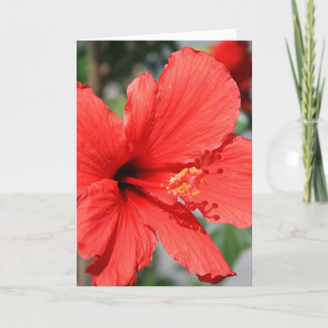 Red Hibiscus Flower Greeting Card,Note Card (Front)