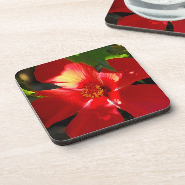 Red Hibiscus Flower in Sunlight Coaster (Left Side)