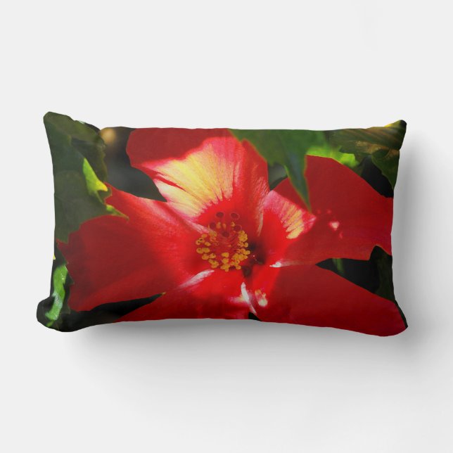 Red Hibiscus Flower in Sunlight Lumbar Cushion (Front)