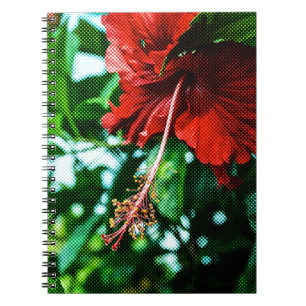 Red Hibiscus Flower Notebook