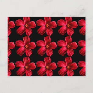 Red Hibiscus Flower Postcard