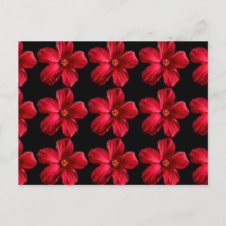 Red Hibiscus Flower Postcard
