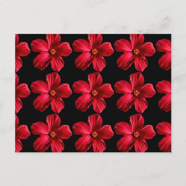 Red Hibiscus Flower Postcard (Front)