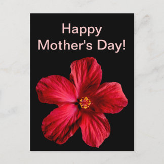 Red Hibiscus Flower Postcard