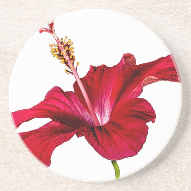 Red Hibiscus Flower Side View Coaster (Front)